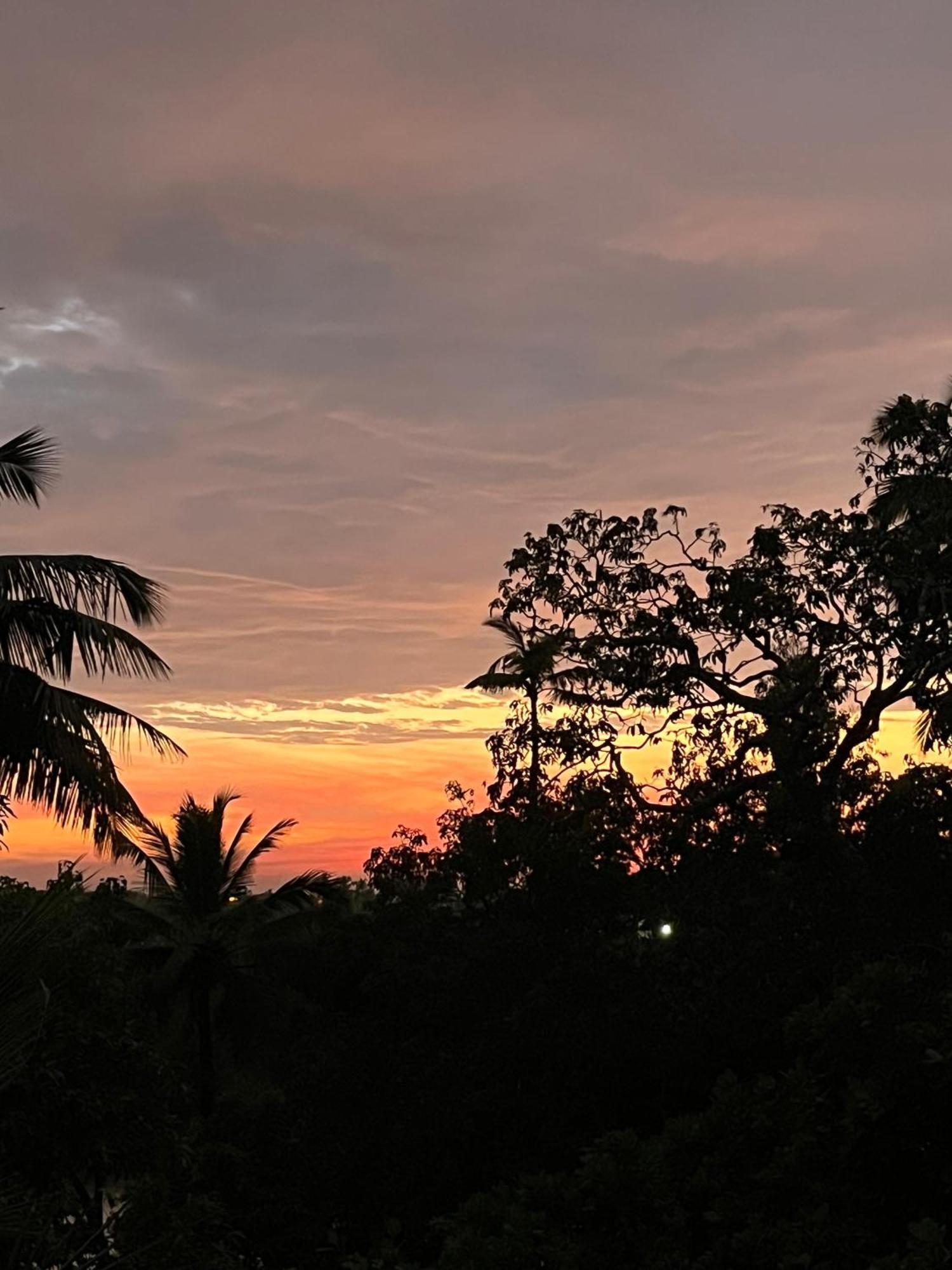 Green Nest Hostel, Baga- North Goa آربورا المظهر الخارجي الصورة