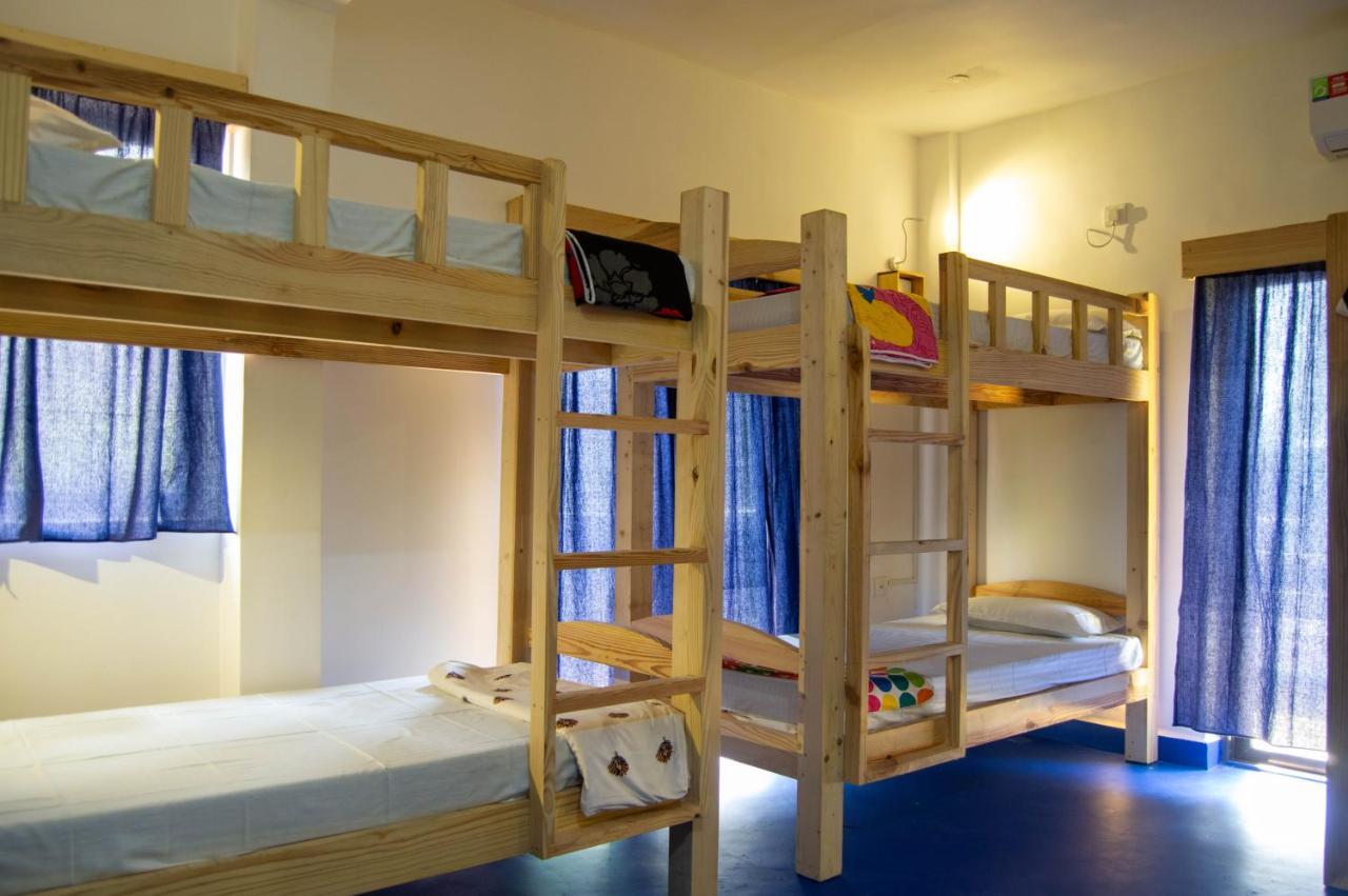 Green Nest Hostel, Baga- North Goa آربورا المظهر الخارجي الصورة