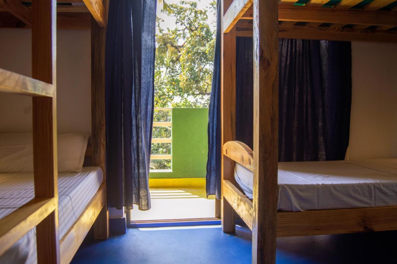 Green Nest Hostel, Baga- North Goa آربورا المظهر الخارجي الصورة